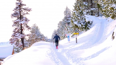 Access Montgenèvre by ski